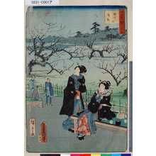 Utagawa Kunisada: 「江戸自慢三十六興」 「梅やしき漬梅」 - Tokyo Metro Library 