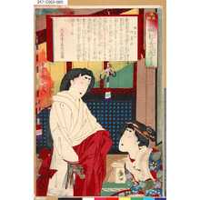 Toyohara Kunichika: 「葵艸松の裏苑」 「第五帙」「綱吉公御台所」 - Tokyo Metro Library 