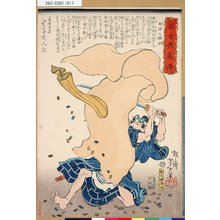 月岡芳年: 「近世侠義伝」 「提緒之猪助」 - 東京都立図書館