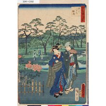 Utagawa Kunisada: 「江戸自慢三十六興」 「深川八まん牡丹」 - Tokyo Metro Library 