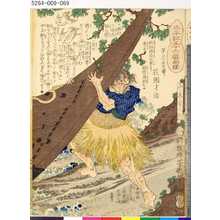 Ochiai Yoshiiku: 「太平記三十六番相撲」 「第三十五之番ヒ」「花園才治」 - Tokyo Metro Library 