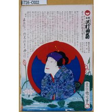 Toyohara Kunichika: 「俗名 三代目沢村田之助」 - Tokyo Metro Library 