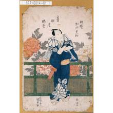 Utagawa Kunisada: 「俳優牡丹見物 音羽屋梅幸」 - Tokyo Metro Library 