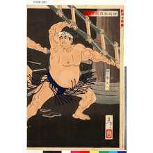 Tsukioka Yoshitoshi: 「新撰東錦絵」 「神明相撲闘争之図」 - Tokyo Metro Library 