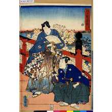 Japanischer Druck "「江戸紫姿競」 「第八」" von Utagawa Toyokuni III, 歌川豊国〈3〉 (豊国<3>)