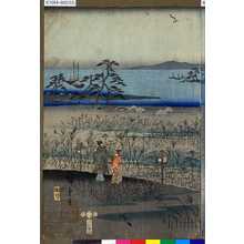 Utagawa Toyokuni III, 歌川豊国〈3〉 (豊国<3>)による浮世絵「-」