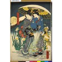 Utagawa Kunisada II: 「今様源氏花揃」 「水仙や兄弟らしき花の犬」 - Tokyo Metro Library 