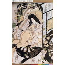 Utagawa Kunisada: 「滝夜叉姫実ハ将門 瀬川菊之丞」 - Tokyo Metro Library 