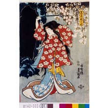 Utagawa Kunisada: 「墨染桜の精」 - Tokyo Metro Library 