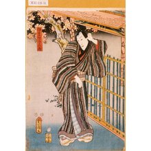 Utagawa Kunisada: 「伊豆や与三郎」 - Tokyo Metro Library 