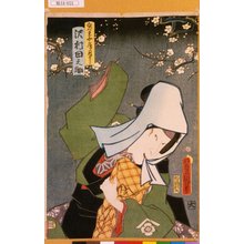 Utagawa Kunisada: 「鬼王女房月さよ 沢村田之助」 - Tokyo Metro Library 