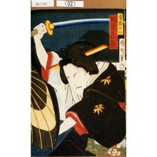 Toyohara Kunichika: 「局岩藤 坂東彦三郎」 - Tokyo Metro Library 