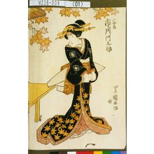 Utagawa Toyokuni I: 「小女郎 市川門之助」 - Tokyo Metro Library 