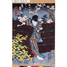 歌川国貞: 「召仕はつ」 - 東京都立図書館