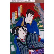 Toyohara Chikanobu: 「楠石斎 市川団十郎」「おむら 岩井半四郎」 - Tokyo Metro Library 