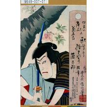 Toyohara Kunichika: 「堤婆の仁三 尾上菊五郎」 - Tokyo Metro Library 