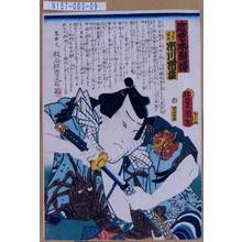 Utagawa Kunisada: 「近世水滸伝」「なだれの岩松 市川市蔵」 - Tokyo Metro Library 