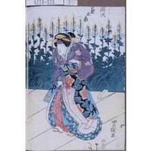 Utagawa Toyokuni I: 「[小]きん 瀬川菊之丞」 - Tokyo Metro Library 