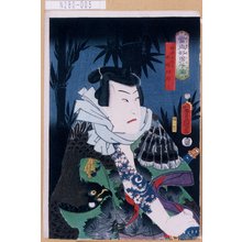 Utagawa Kunisada: 「当世好男子伝」「林中に比す鮫鞘四郎三」 - Tokyo Metro Library 