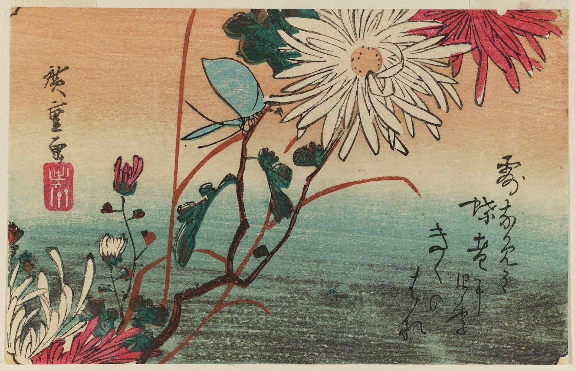 Хокку про сакуру. Утагава Хиросигэ хризантемы. Японский художник Утагава Хиросигэ. Японские Гравюры Утагава Хиросигэ. Андо Утагава Хиросигэ ирисы.
