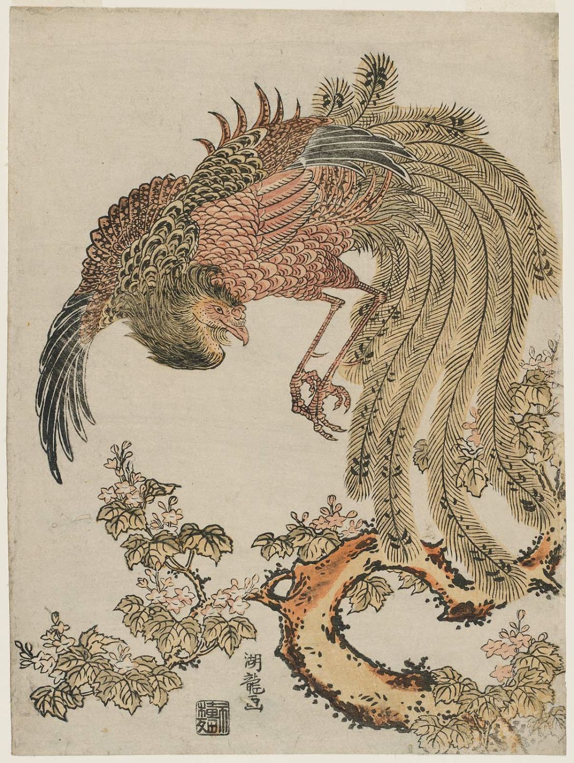 磯田湖龍齋: Phoenix and Paulownia Tree - ボストン美術館 - 浮世絵検索