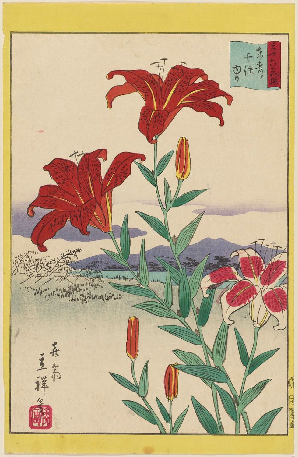 Utagawa Hiroshige II: 「三十六花撰」「東都千住ゆり」 「十七 