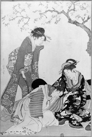 喜多川歌麿: Two Women and a Young Man Under a Cherry Tree - ボストン美術館