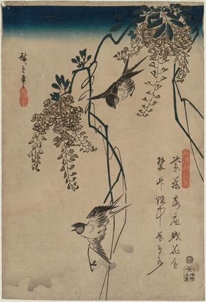 歌川広重: Swallows and Wisteria, from the series Japanese and Chinese Poems for Recitation (Wakan rôeishû) - ボストン美術館