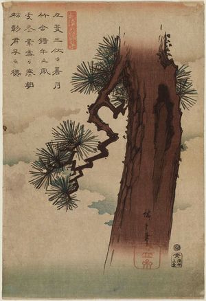 Utagawa Hiroshige: Pine Tree, from the series Japanese and Chinese Poems for Recitation (Wakan rôeishû) - Museum of Fine Arts