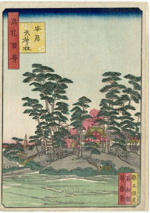 Nansuitei Yoshiyuki: Yasui Tenjin Shrine (Yasui no Tenjin no yashiro), from the series One Hundred Views of Osaka (Naniwa hyakkei) - Museum of Fine Arts