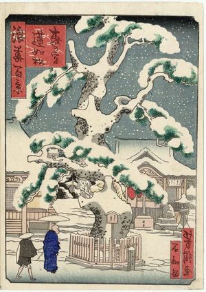 Utagawa Yoshitaki: The Pine Tree of Priest Rennyo at Morinomiya (Morinomiya Rennyo-matsu), from the series One Hundred Views of Osaka (Naniwa hyakkei) - Museum of Fine Arts