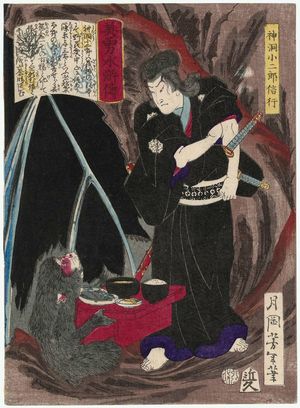 Tsukioka Yoshitoshi: Shindô Kojirô Nobuyuki, from the series Sagas of Beauty and Bravery (Biyû Suikoden) - Museum of Fine Arts