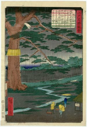 二歌川広重: The Pine Tree of the Imperial Procession (Miyuki no matsu), from the series Views of Famous Places in Edo (Edo meishô zue) - ボストン美術館