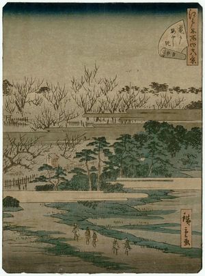 二歌川広重: No. 24, Plum Garden at Kameido (Kameido umeyashiki), from the series Forty-Eight Famous Views of Edo (Edo meisho yonjûhakkei) - ボストン美術館
