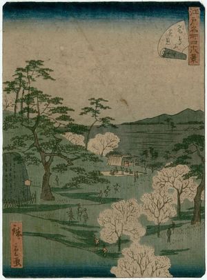 二歌川広重: No. 13, Cherry-blossom Viewing at Asuka Hill (Asukayama hanami), from the series Forty-Eight Famous Views of Edo (Edo meisho yonjûhakkei) - ボストン美術館