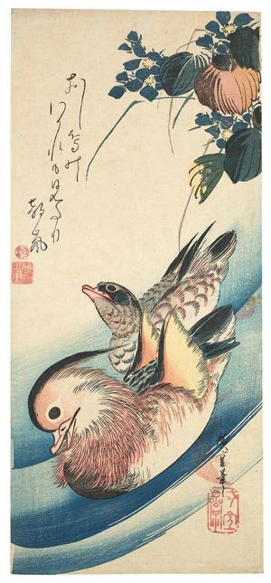 歌川広重: Mandarin Ducks and Mizu-aoi - ボストン美術館