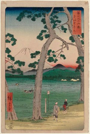 Utagawa Hiroshige: Fuji Seen from the Left on the Tôkaidô Road (Tôkaidô hidari Fuji), from the series Thirty-six Views of Mount Fuji (Fuji sanjûrokkei) - Museum of Fine Arts