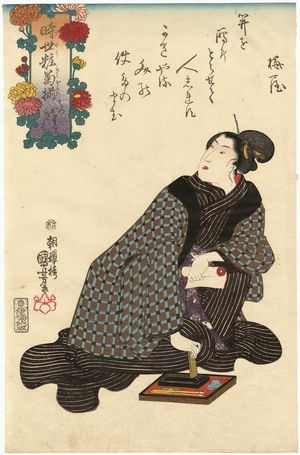 Utagawa Kuniyoshi: Hatsukaki? o kiku, from the series An Asortment of Chrysanthemums in the Modern Style (Imayô kiku soroi) - Museum of Fine Arts