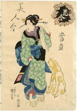 Utagawa Kuniyoshi: Cherry Blossoms, from the series Contest of Flowers, Contest of Modern Beauties (Hana awase tôsei bijin awase) - Museum of Fine Arts