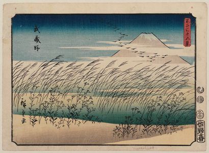 歌川広重: Musashi Plain (Musashino), from the series Thirty-six Views of Mount Fuji (Fuji sanjûrokkei) - ボストン美術館