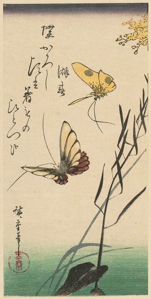 歌川広重: Butterflies - ボストン美術館