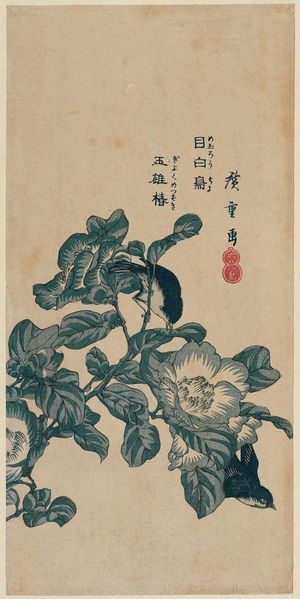 歌川広重: Japanese White-eye and Jade-woman Camellia (Mejirôcho, gyokume tsubaki), from the series Six Flowers and Birds (Rokkachô) - ボストン美術館