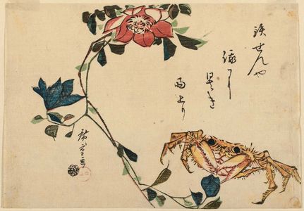 Utagawa Hiroshige: Clematis and Crab - Museum of Fine Arts