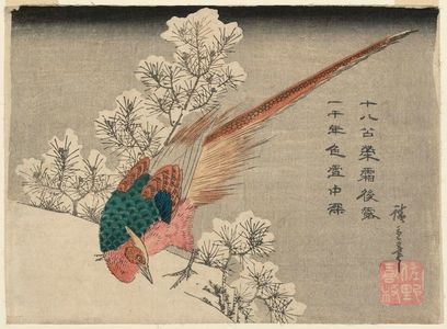 Utagawa Hiroshige: Golden Pheasant and Snow-Covered Pine - Museum of Fine Arts