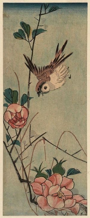 歌川広重: Sparrow and Camellia - ボストン美術館
