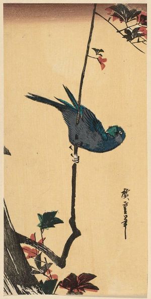 歌川広重: Bird on Maple Branch - ボストン美術館