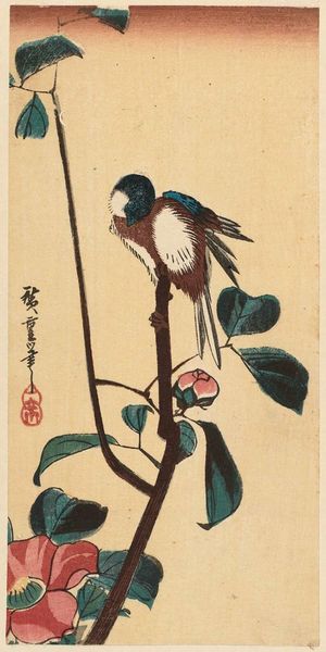 歌川広重: Bird on Camellia Branch - ボストン美術館