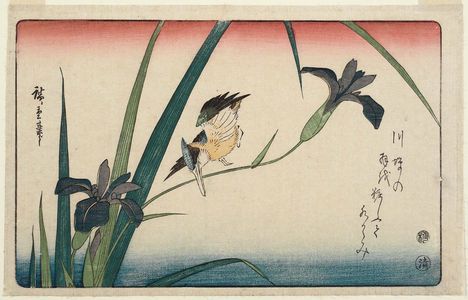 Utagawa Hiroshige: Kingfisher and Iris - Museum of Fine Arts