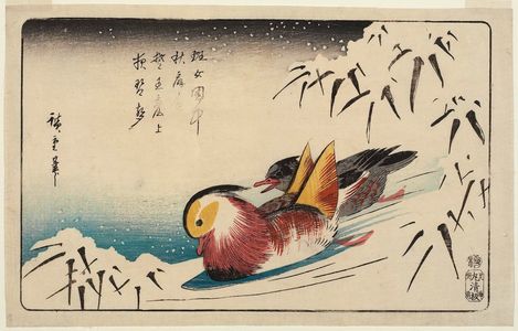 Utagawa Hiroshige: Mandarin Ducks and Snow-covered Bamboo - Museum of Fine Arts