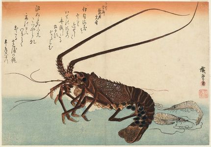 歌川広重: Lobster and Shrimp, from an untitled series known as Large Fish - ボストン美術館